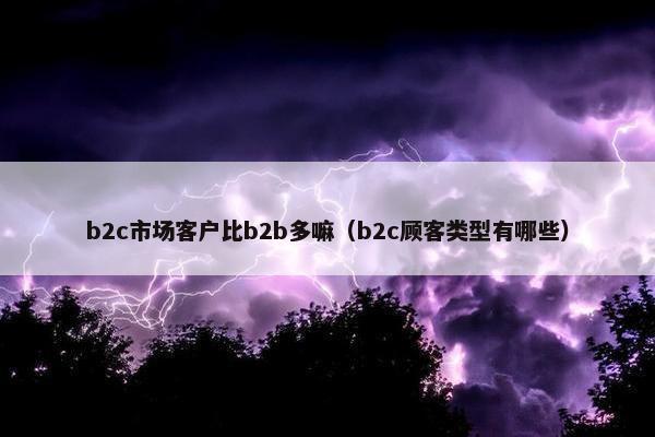 b2c市场客户比b2b多嘛（b2c顾客类型有哪些）
