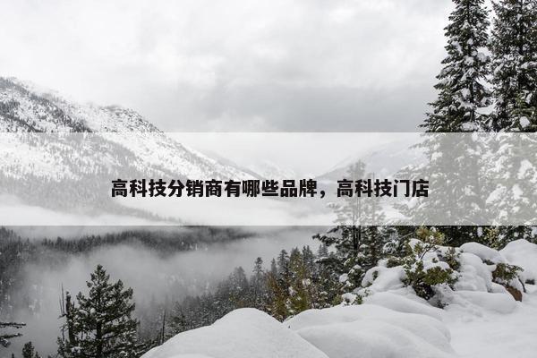 高科技分销商有哪些品牌，高科技门店