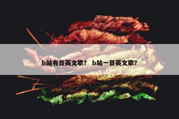 b站有首英文歌？ b站一首英文歌？