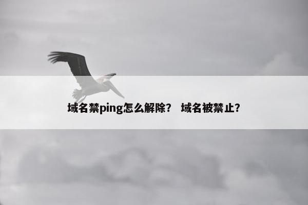 域名禁ping怎么解除？ 域名被禁止？