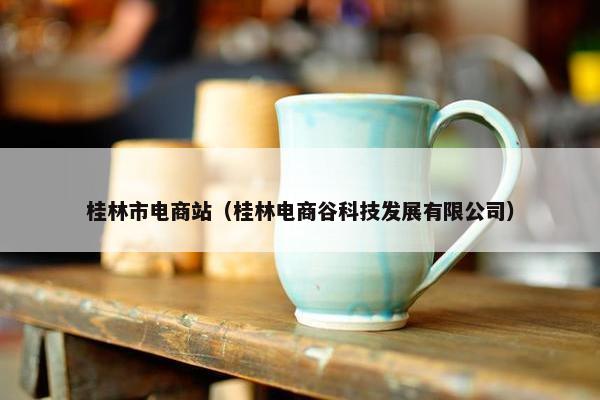 桂林市电商站（桂林电商谷科技发展有限公司）