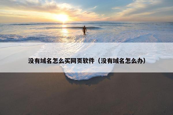 没有域名怎么买网页软件（没有域名怎么办）