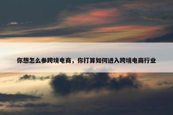 你想怎么参跨境电商，你打算如何进入跨境电商行业