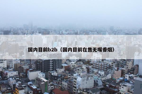 国内目前b2b（国内目前在售无嘴香烟）