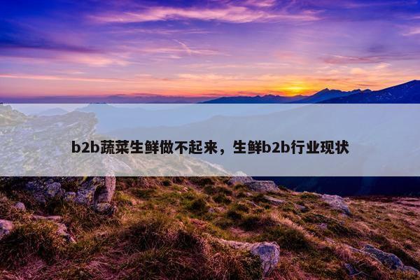 b2b蔬菜生鲜做不起来，生鲜b2b行业现状