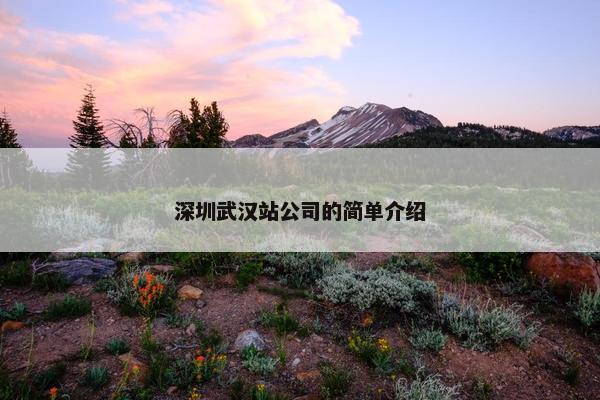 深圳武汉站公司的简单介绍