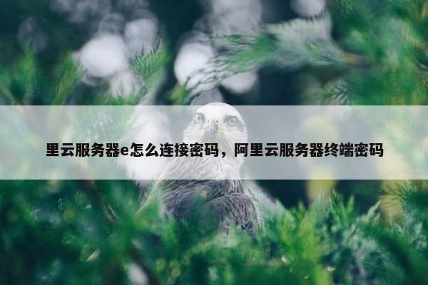 里云服务器e怎么连接密码，阿里云服务器终端密码
