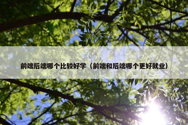 前端后端哪个比较好学（前端和后端哪个更好就业）