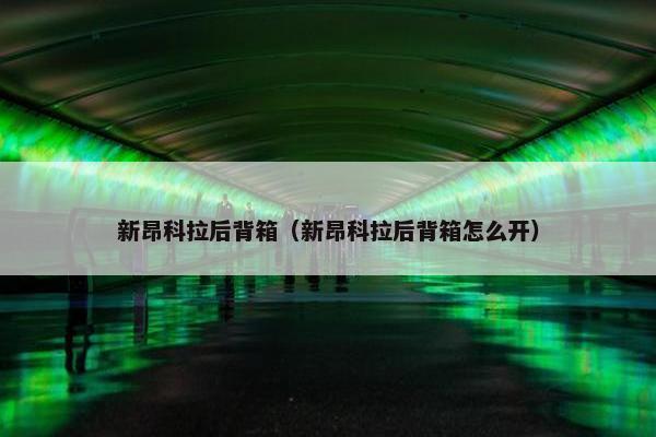 新昂科拉后背箱（新昂科拉后背箱怎么开）