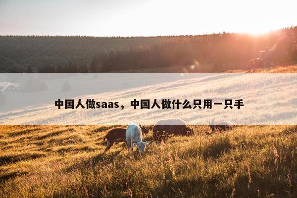 中国人做saas，中国人做什么只用一只手