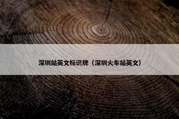 深圳站英文标识牌（深圳火车站英文）