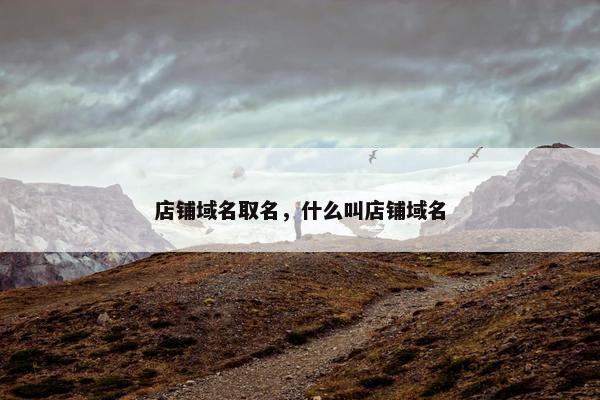 店铺域名取名，什么叫店铺域名