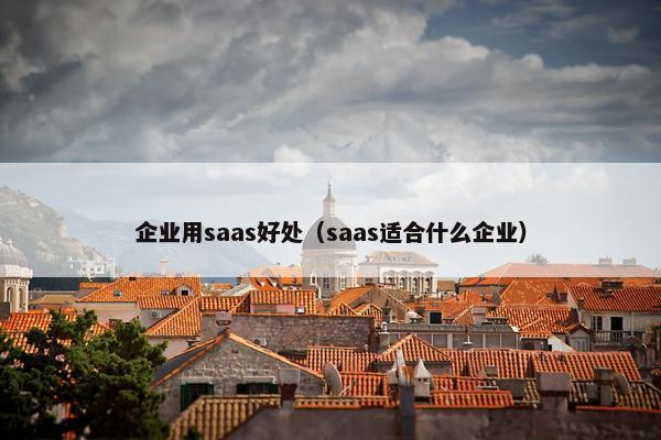 企业用saas好处（saas适合什么企业）