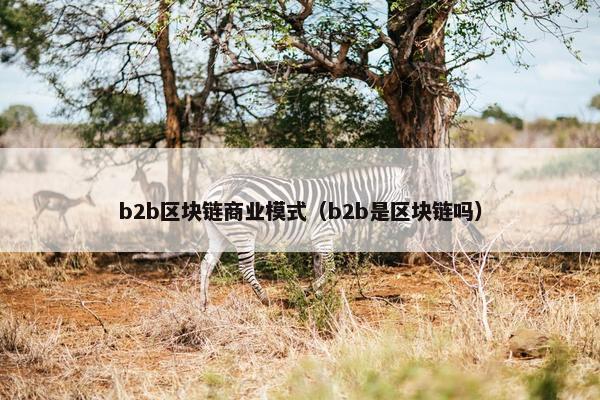 b2b区块链商业模式（b2b是区块链吗）