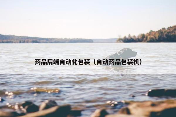 药品后端自动化包装（自动药品包装机）