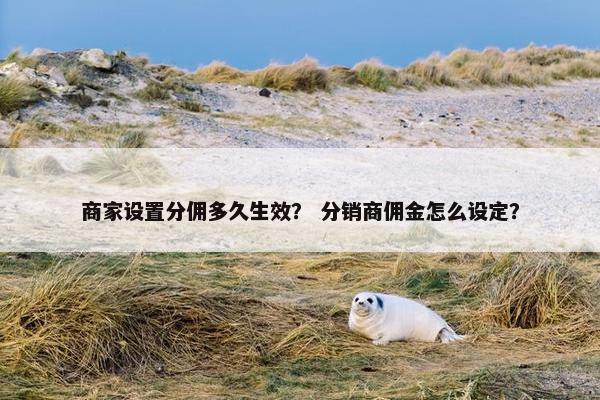 商家设置分佣多久生效？ 分销商佣金怎么设定？