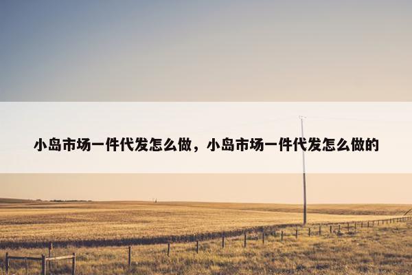 小岛市场一件代发怎么做，小岛市场一件代发怎么做的