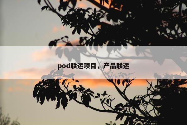 pod联运项目，产品联运