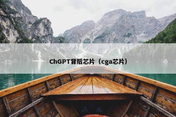 ChGPT背后芯片（cga芯片）