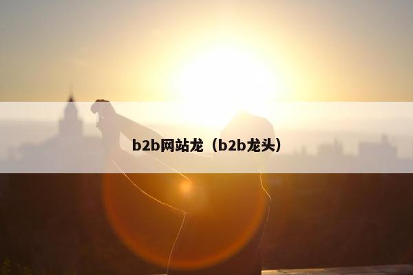 b2b网站龙（b2b龙头）