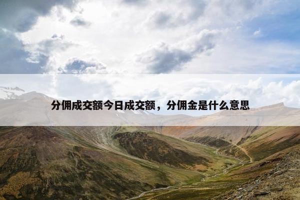 分佣成交额今日成交额，分佣金是什么意思