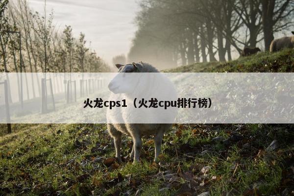 火龙cps1（火龙cpu排行榜）