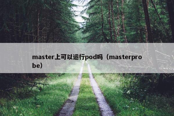 master上可以运行pod吗（masterprobe）