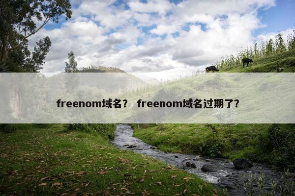 freenom域名？ freenom域名过期了？
