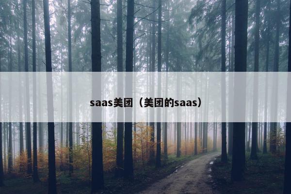 saas美团（美团的saas）