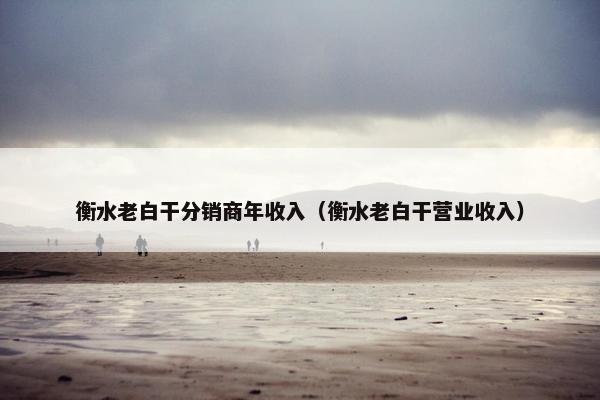 衡水老白干分销商年收入（衡水老白干营业收入）