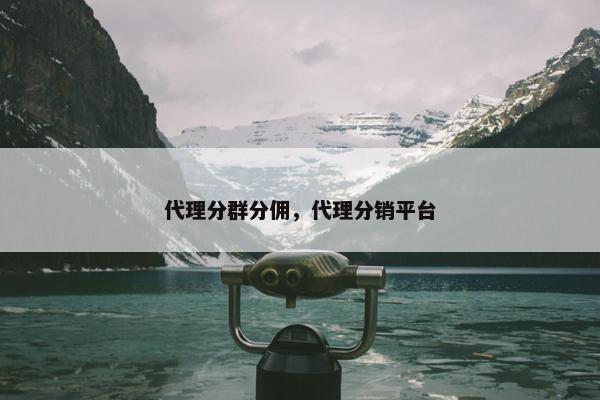 代理分群分佣，代理分销平台