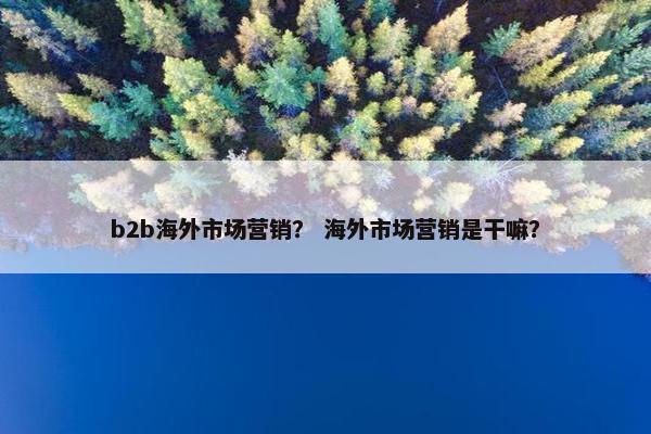 b2b海外市场营销？ 海外市场营销是干嘛？