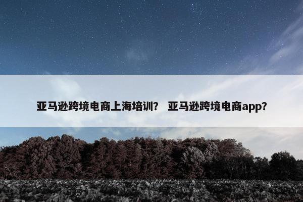 亚马逊跨境电商上海培训？ 亚马逊跨境电商app？