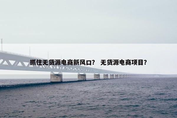 抓住无货源电商新风口？ 无货源电商项目？