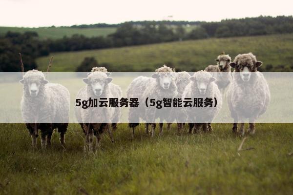 5g加云服务器（5g智能云服务）