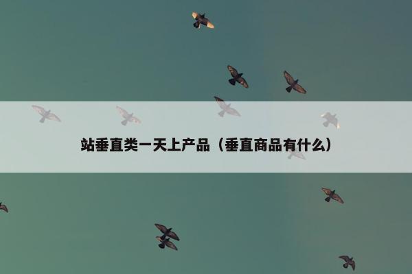 站垂直类一天上产品（垂直商品有什么）