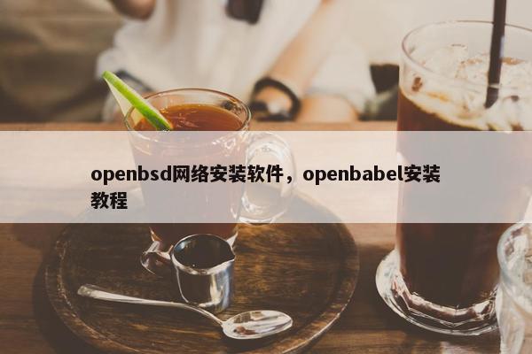 openbsd网络安装软件，openbabel安装教程