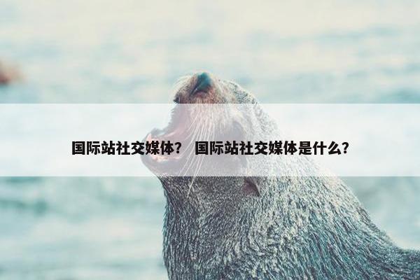 国际站社交媒体？ 国际站社交媒体是什么？