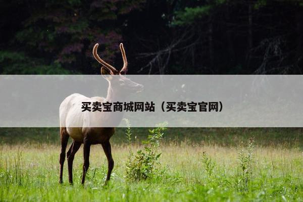 买卖宝商城网站（买卖宝官网）