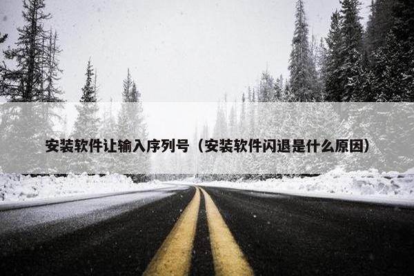 安装软件让输入序列号（安装软件闪退是什么原因）