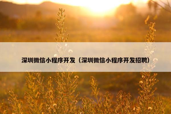 深圳微信小程序开发（深圳微信小程序开发招聘）
