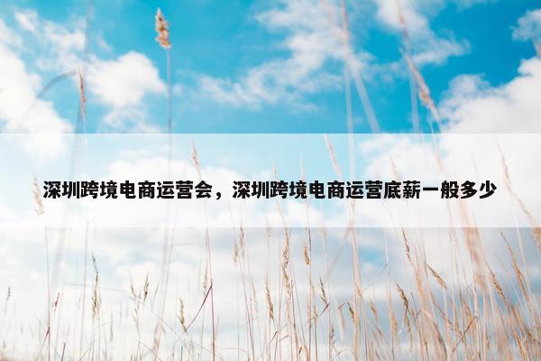 深圳跨境电商运营会，深圳跨境电商运营底薪一般多少