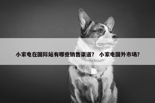 小家电在国际站有哪些销售渠道？ 小家电国外市场？