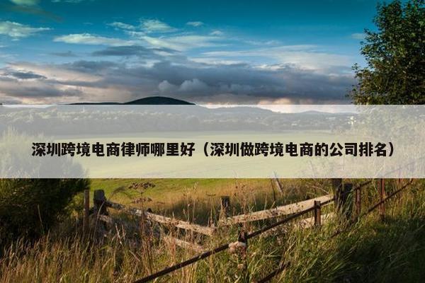深圳跨境电商律师哪里好（深圳做跨境电商的公司排名）