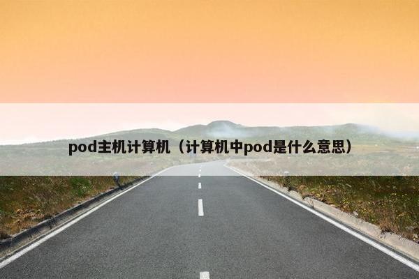 pod主机计算机（计算机中pod是什么意思）