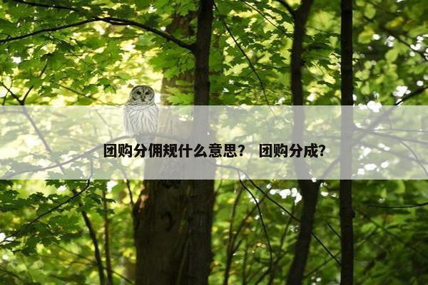 团购分佣规什么意思？ 团购分成？