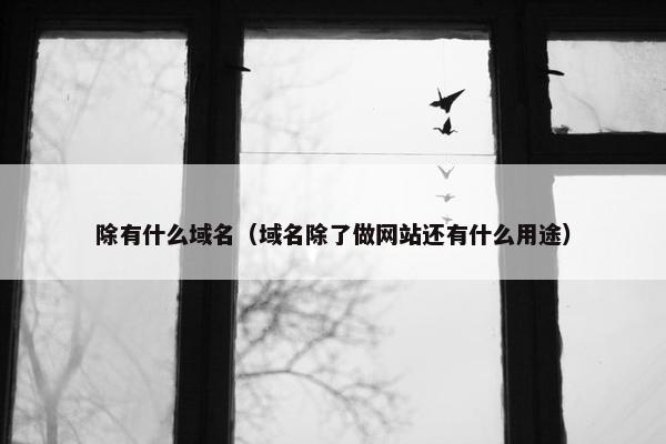 除有什么域名（域名除了做网站还有什么用途）