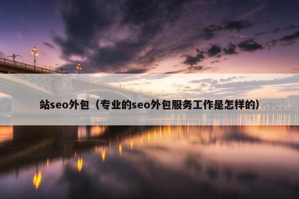 站seo外包（专业的seo外包服务工作是怎样的）