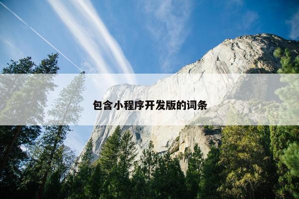 包含小程序开发版的词条