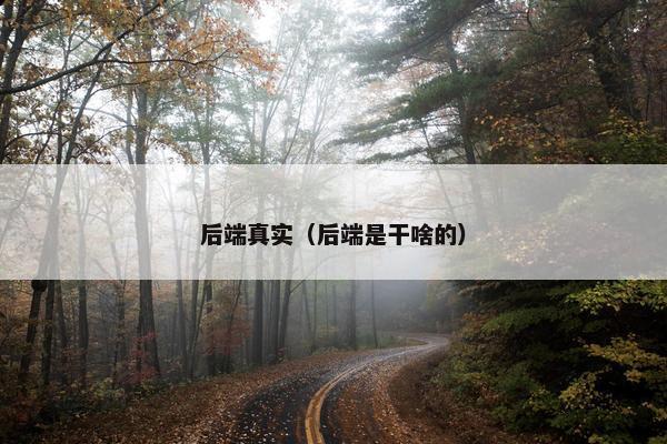 后端真实（后端是干啥的）